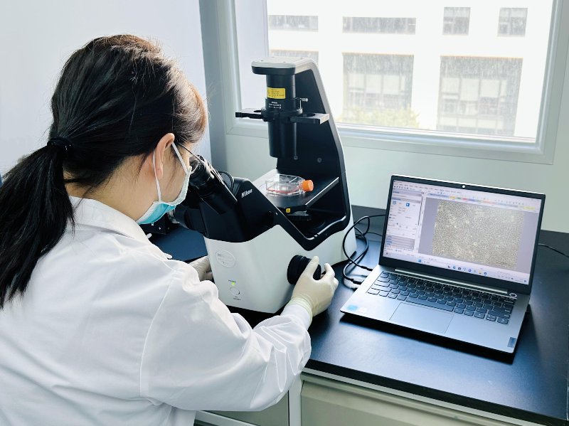生物实验技术服务：从实验台到产业化的关键一环