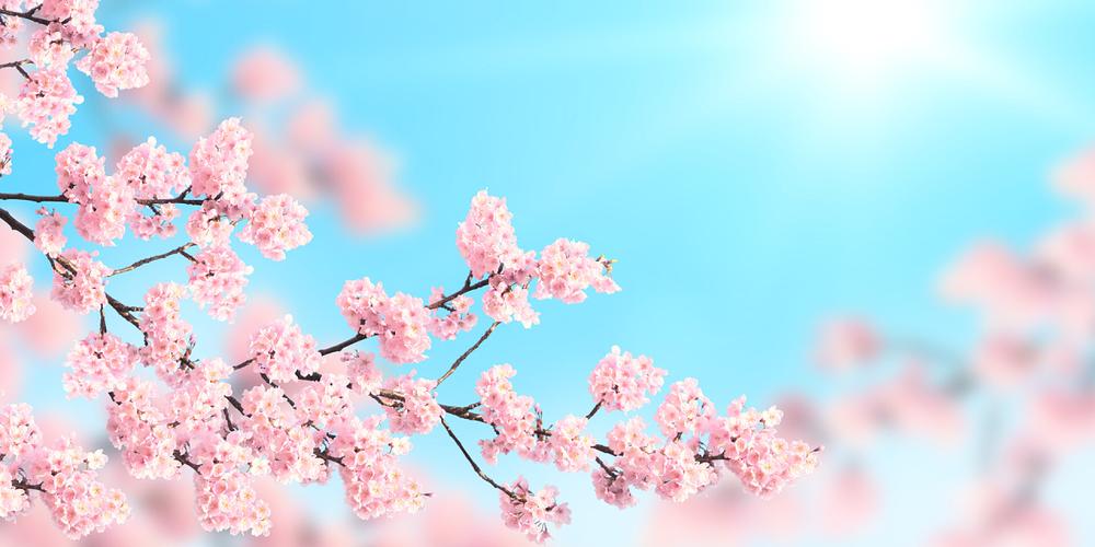 谱生物科技