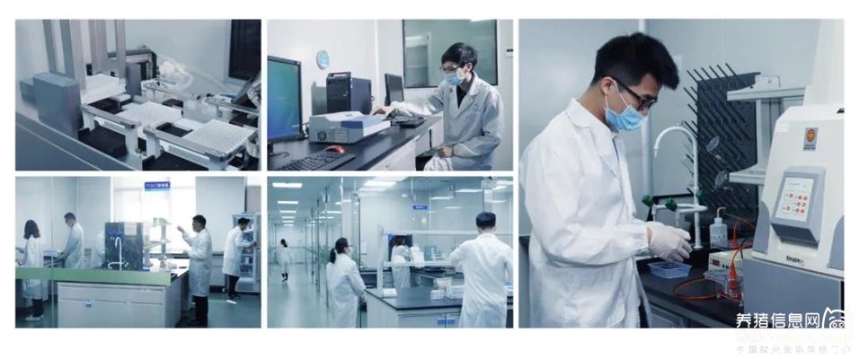 生物技术研发服务
